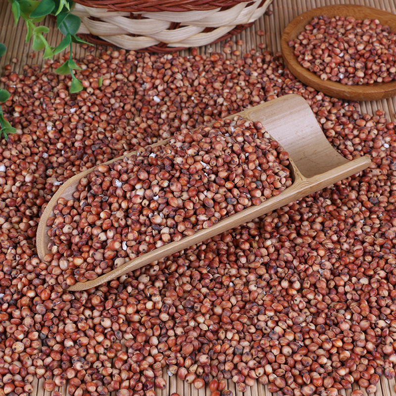 in stock wholesale skin red sorghum brewing new and waxy red sorghum vinegar Australia northeast japonica sorghum rice 100kg