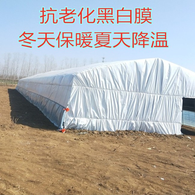 New Greenhouse Film Thickened Black and White Green Film Culture Film Waterproof Cooling Heat Insulation Shading Silage Film Edible