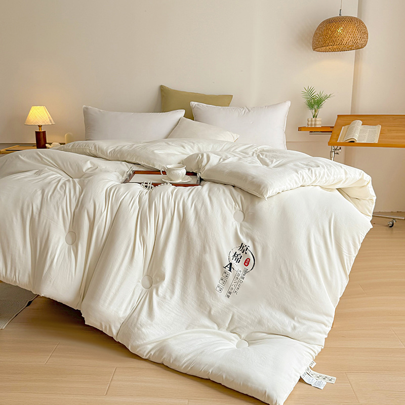 6 to 5kg Thick Winter Quilt Core Raw Cotton Winter Quilt Spring & Fall All Year Round Quilt Dormitory Gift Custom Quilt Mattress