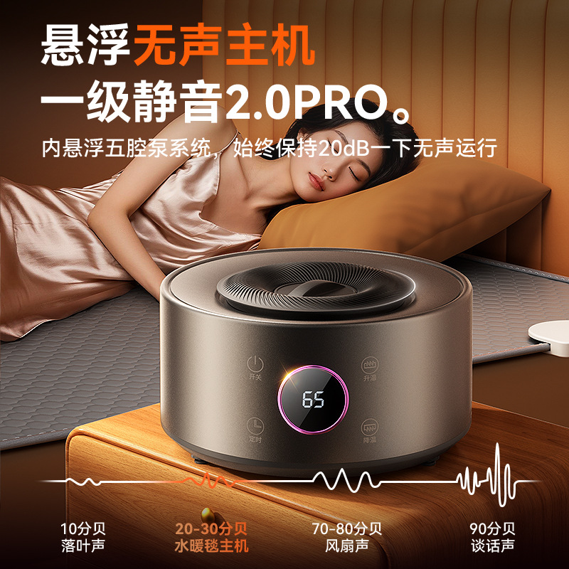 Household Single and Double Intelligent Remote Control Water Circulation Water Heating Blanket Dormitory Electric Blanket Winter Constant Temperature Electric Mattress Mattress