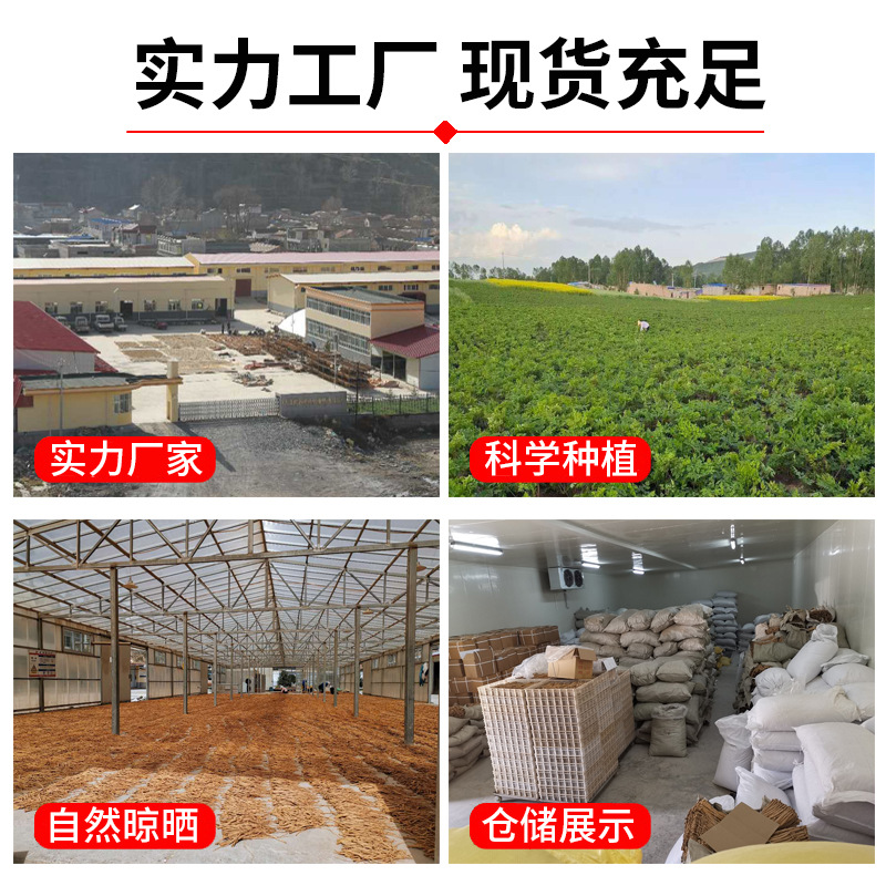 Gansu Minxian Angelica 500g Chinese Medicinal Materials Angelica Slices Raw Strips for Agricultural Products Stew Angelica Strips Wholesale