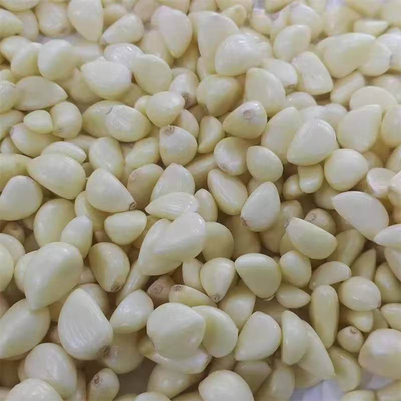 Seasonal fresh dried white garlic export grade standard garlic flavor fresh dried white garlic manufacturers wholesale
