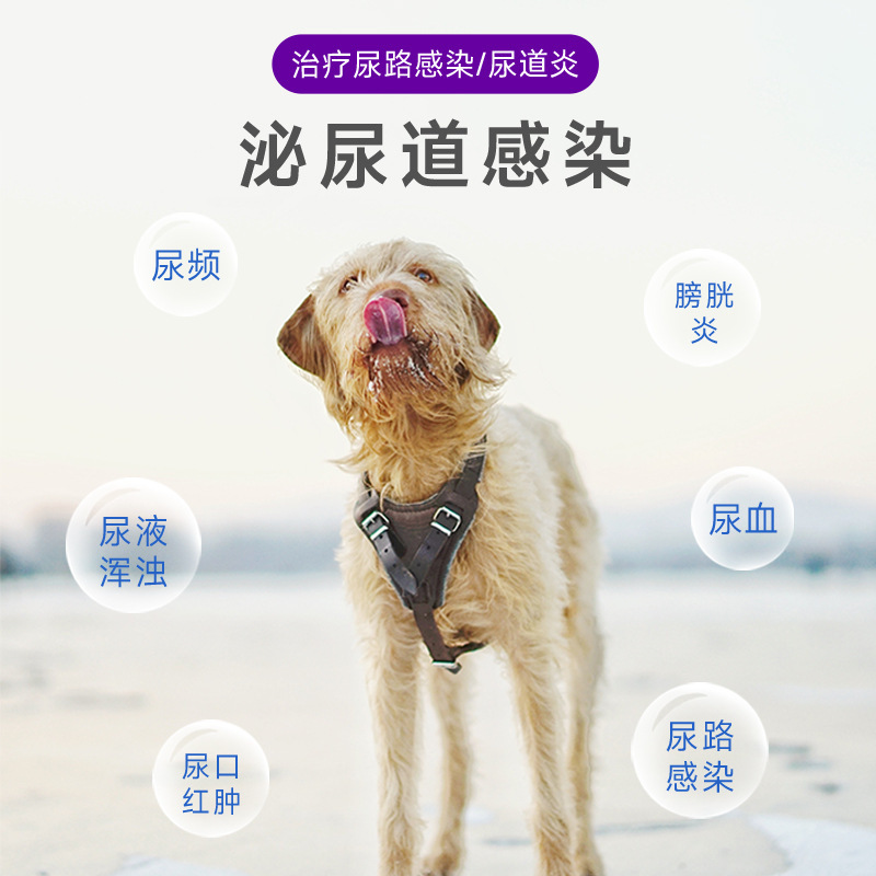 Pet Cefalexin Tablets Antibacterial and Anti-Inflammatory Respiratory Cold Cough Neutral for Dogs and Cats (250Mg High Content