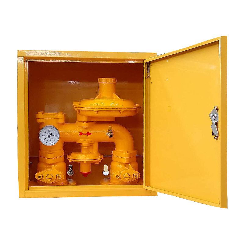 Wall-Mounted Building Pressure Regulating Box R Gas Pipeline Remediation Pressure Regulating Box Community Gas Pressure Regulating Box