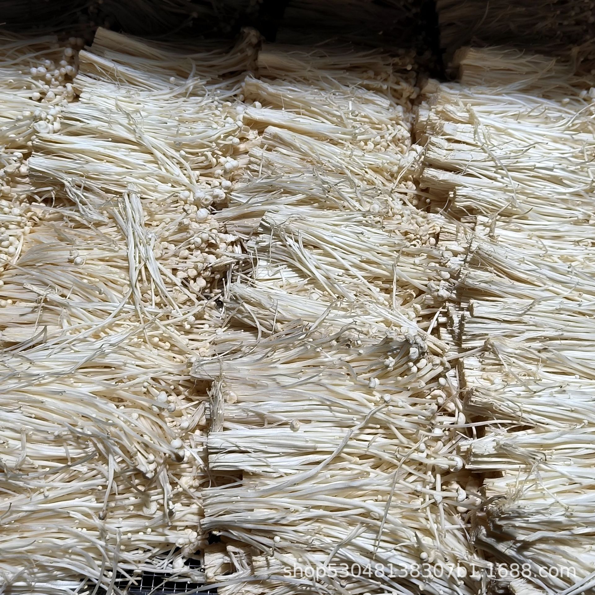 Сушеные грибы Эноки 500г, грибные сельскохозяйственные продукты, оптовые сухие товары, ингредиенты для супов, прямая продажа от производителя, оптовая закупка, крупные объемы обсуждаемы