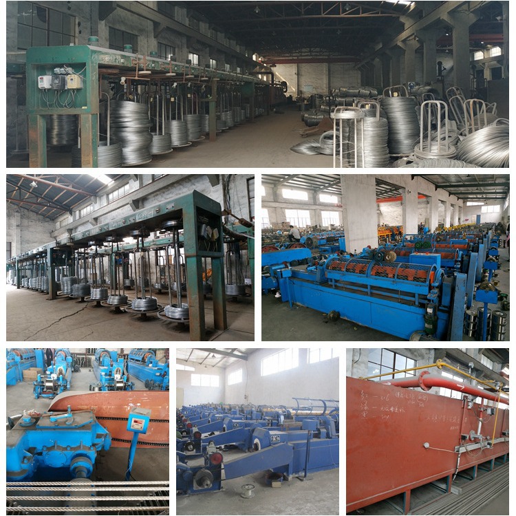 20-Year Manufacturer 304 Stainless Steel Wire Rope Power Rope Guardrail Greenhouse Scraper Clothes Drying Protective Net Steel Wire