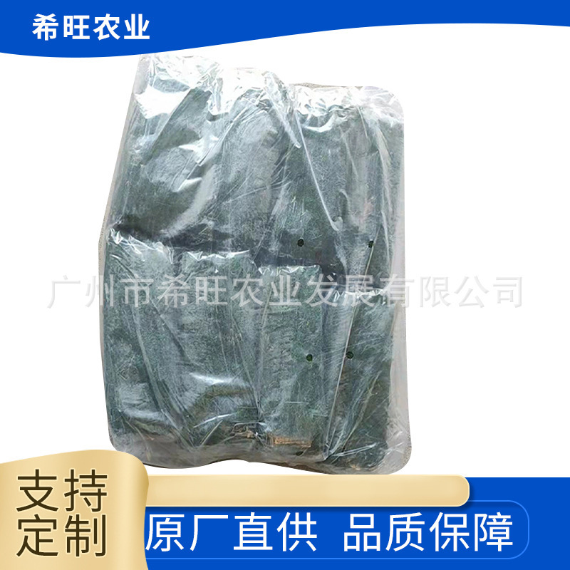 Бонсай микровид цветочного горшка с мхом Xwang, зеленый мох, травяной мох, зеленый сухой мох