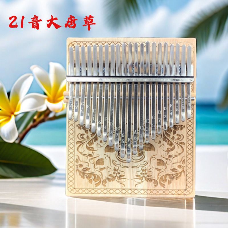 Finger Piano for Beginners, Student Musical Instrument, Birthday Kalimba Thumb Piano, Children's Musical Instrument