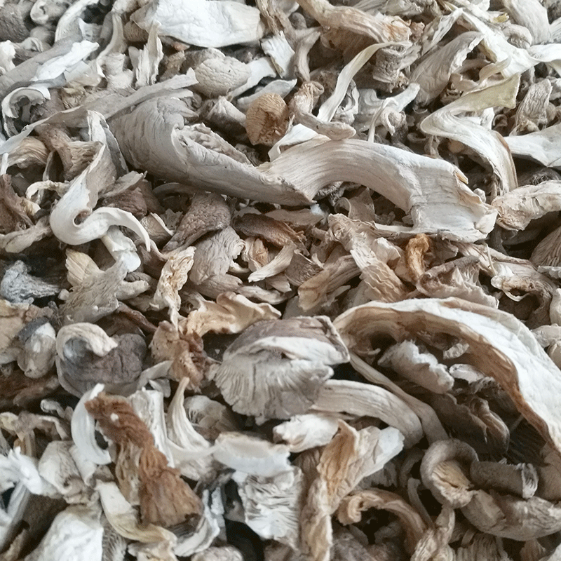 500g of Shiitake Mushroom Fragments Wholesale, Abalone Mushroom, Shiitake Mushroom/Pleurotus Eryngii, Extracted from Sauce Fillings and Powders