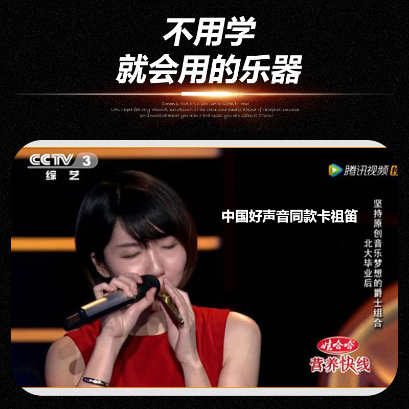 Metal Kazoo Professional Wooden Performance Grade Solid Wood Kazoo Trumpet Large Saxophone Kazoo Small Instrument