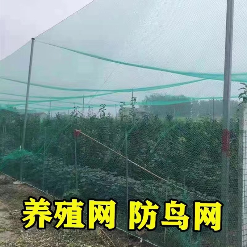 Factory direct anti-bird net nylon net frog breeding anti-escape net Bullfrog purse seine fish pond loach Sky Net