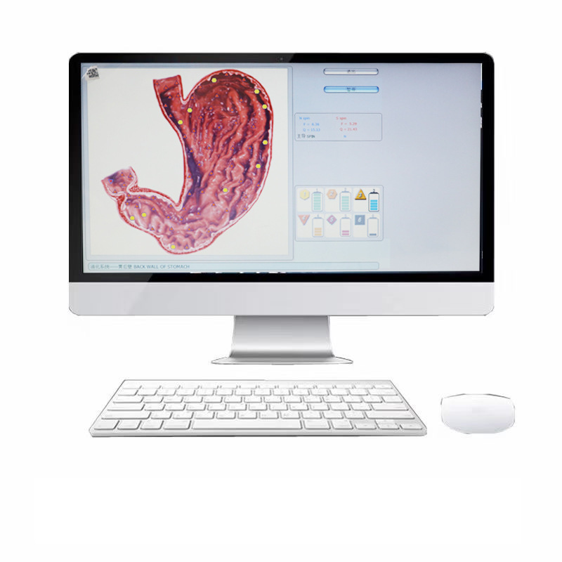 9DNLS sub-health detector health management system Body sub-health organ cell cardiovascular and cerebrovascular analysis