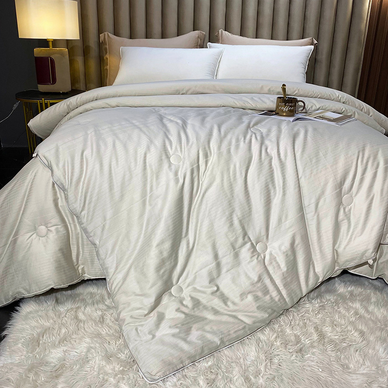 New Style Cotton Small Jacquard Two-in-One Soybean Mother Quilt Twin Quilt Core Thickened Winter Quilt