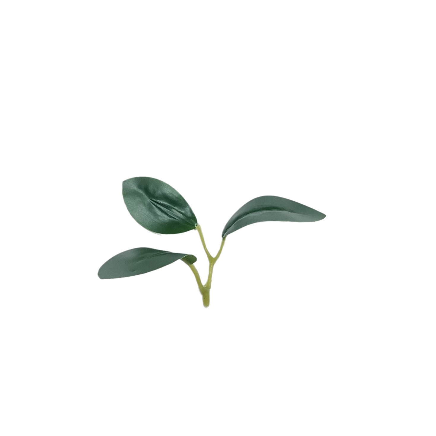 Cross-border Hot Sale Simulation Green Plant Bonsai Fugui Leaf Magnolia Leaf Fake Green Plant Leaf Ficus Leaf Leaf Accessories