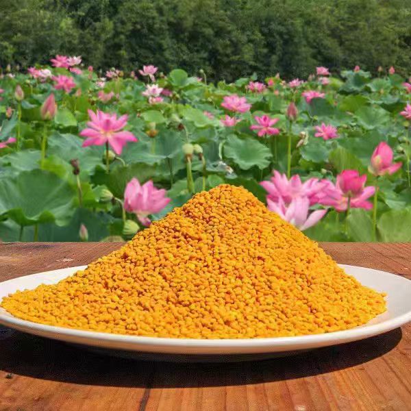 Beauty and beauty fresh pure natural lotus pollen edible farm bee pollen lotus pollen fresh genuine goods