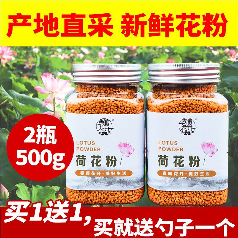 Fresh Lotus Pollen, Natural Lotus Pollen, Bee Pollen, Farm Lotus Pollen, Edible Pollen for Humans
