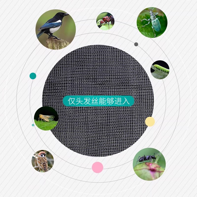 Fruit Net Bagging, Insect-Proof and Bird-Proof Gauze Bag, Strawberry Bagging, Grape Breathable Bagging, Fig and Guava Bagging