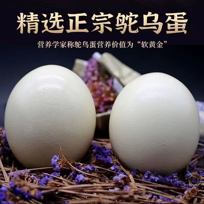 Свежие съедобные экстра большие страусиные яйца, питательные, африканские страусы, подарки для богатых, полезные и вкусные, яйца свободного выпаса
