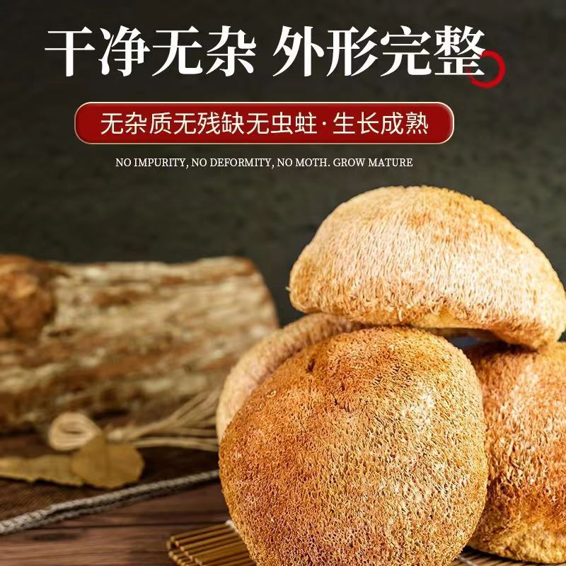 [Smoked Sulfur-Free Delivery] Hericium erinaceus New Mill Raw Material Dry Wholesale Gutian Origin Edible Mushroom 500g