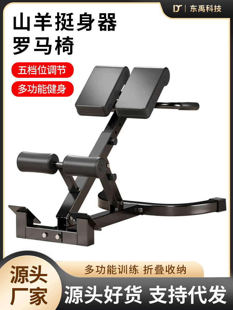 Roman Chair Household Goat Tilts Adjustable Lumbar Back Abdominal Muscle Multifunctional Training Device Professional Fitness Equipment
