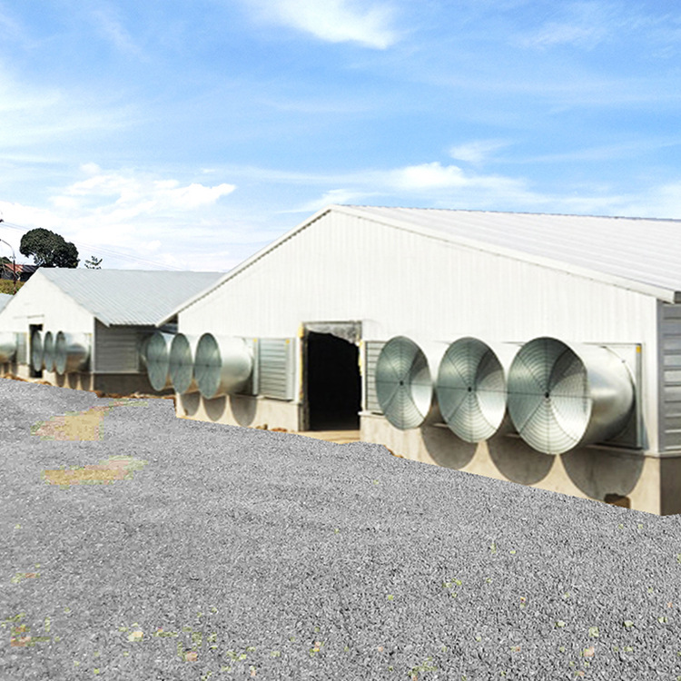 The design and installation of breeding greenhouses The construction of agricultural livestock greenhouses Pig shed Duck shed Chicken shed Cattle shed