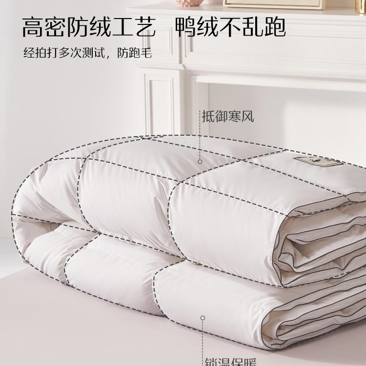 Home Textile Class a Summer Quilt 90% White down Quilt Core Thickened Warm Quilt Autumn and Winter Home Bedding