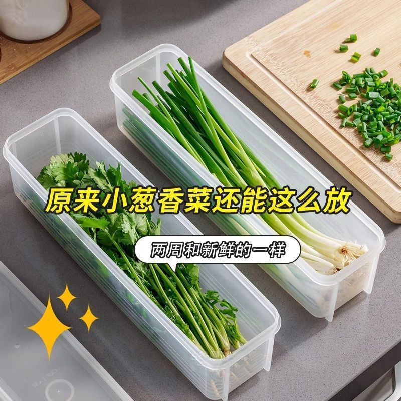 Green Onion Storage Box