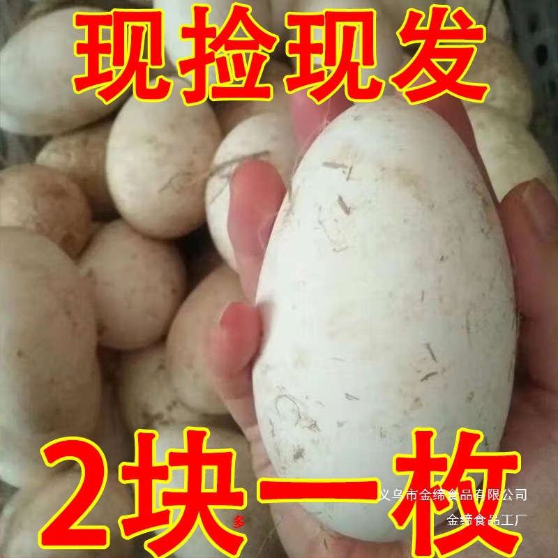 Свежие гусиные яйца для беременных, фермерские свободно выгуливаемые гусиные яйца, специализированные продукты, свежесобранные и отправленные, 12 крупных гусиных яиц