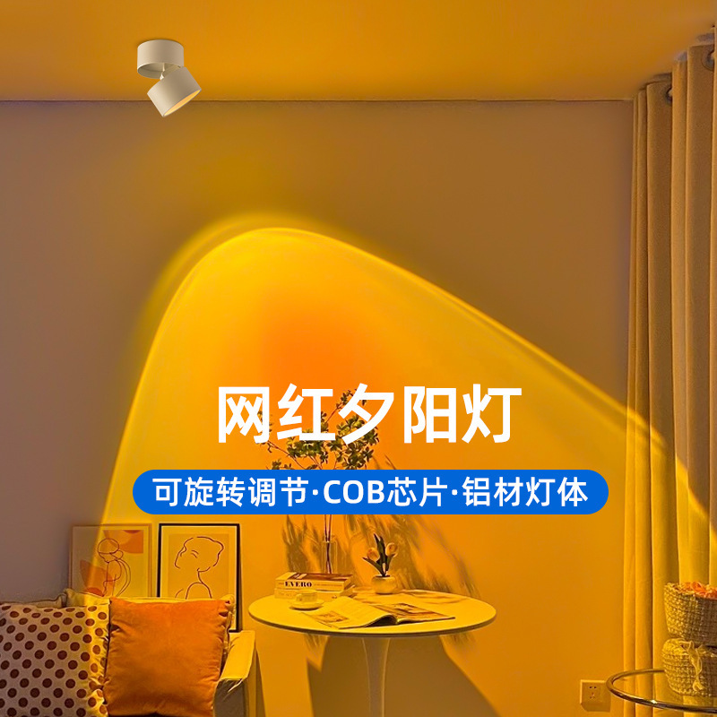 Entrance Corridor Daylight Spotlight Surface-Mounted Wall Washer Embedded Home Photography Fill Light Atmosphere Lighting Display Cabinet