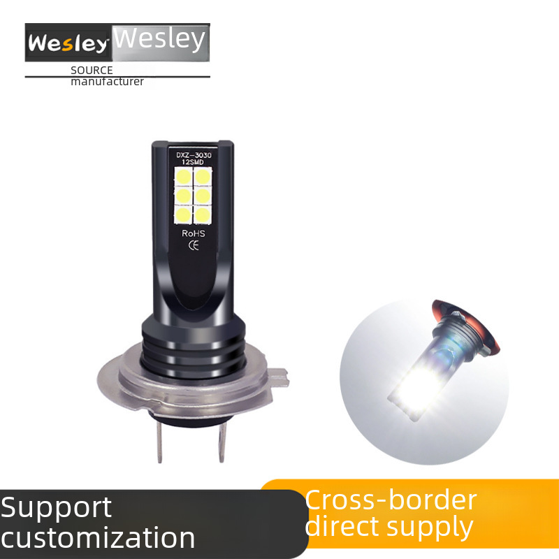 Car Led Light 3030 12Smd H4 H7 H8 9005Led Fog Light H1 H3Led Headlight Anti-Fog Light