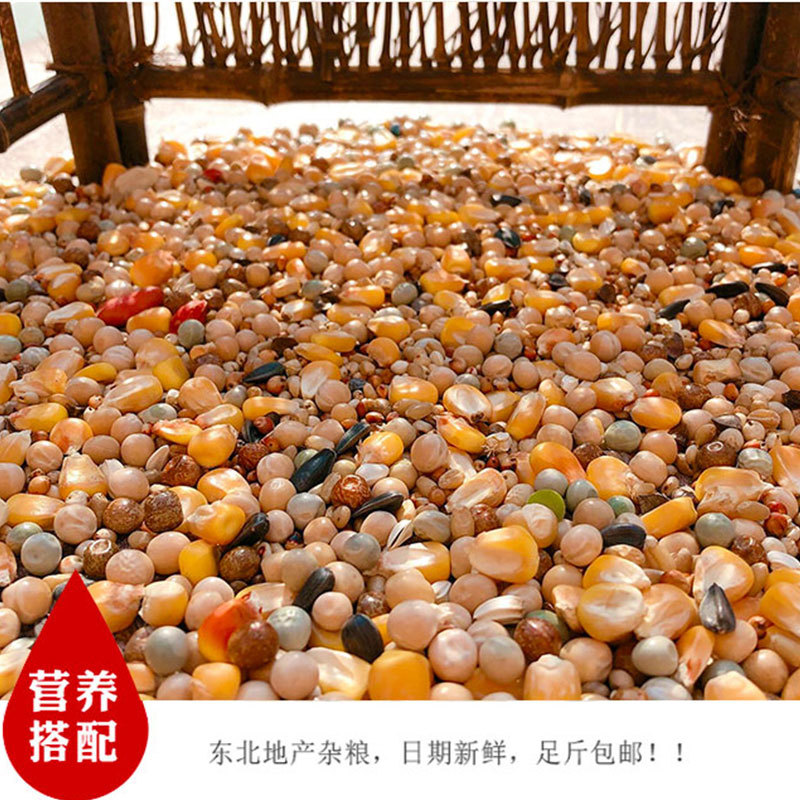 25kg Pigeon Food with Corn Nutrition Pigeon Food Young Pigeon Feed Bird Food Pigeon Food Ornamental Pigeon Meat Pigeon Food Racing Pigeon Food