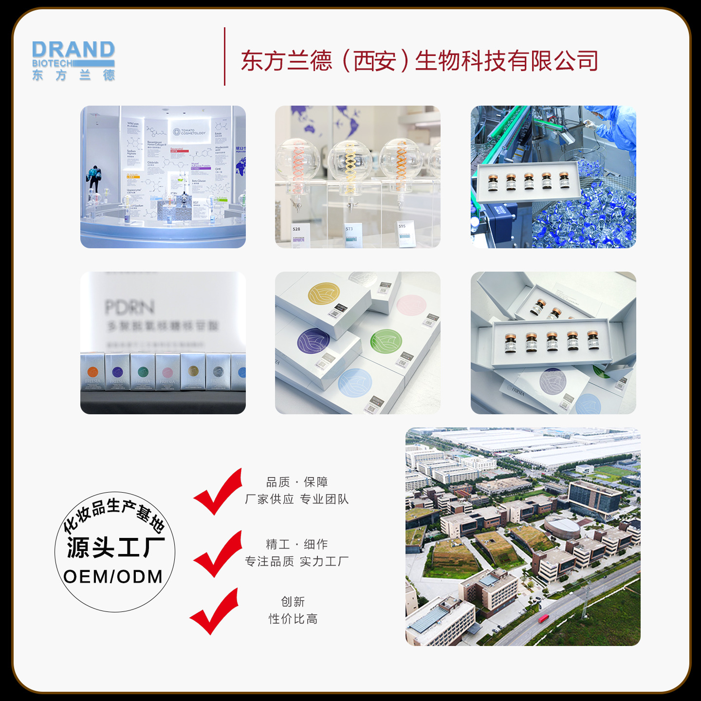 Medical Recombinant Collagen Repair Patch Contains Ectoin Tetrahydroxymethylpyrrolic Acid, Medical Beauty Clinic Line Oem