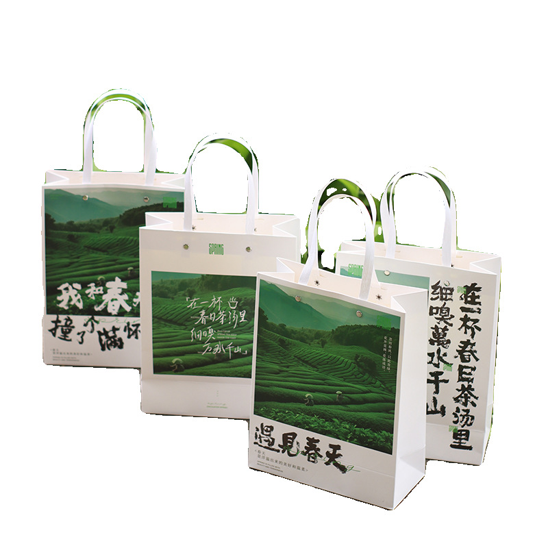 Mingqian Longjing Gift New Packaging Bag Handbag Biluochun Green Tea New Tea Huangshan Maofeng Spring Tea Anji White Tea