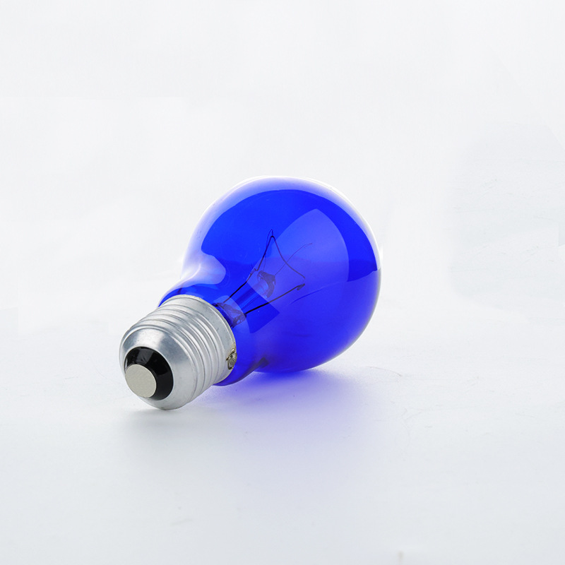 Daylight Blue Light Bulb Reptile Reptile Heating Light Bulb A19 100/75/50/40W Natural Light Blue Light Bulb