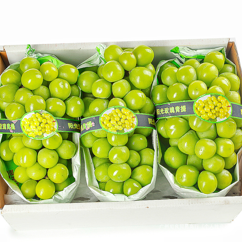 Sunshine Rose Grape Fresh Fruit 2.5kg Gift Box Qingwang Fragrant Green Raisins Seasonal Whole Box Wholesale Sf Free Shipping