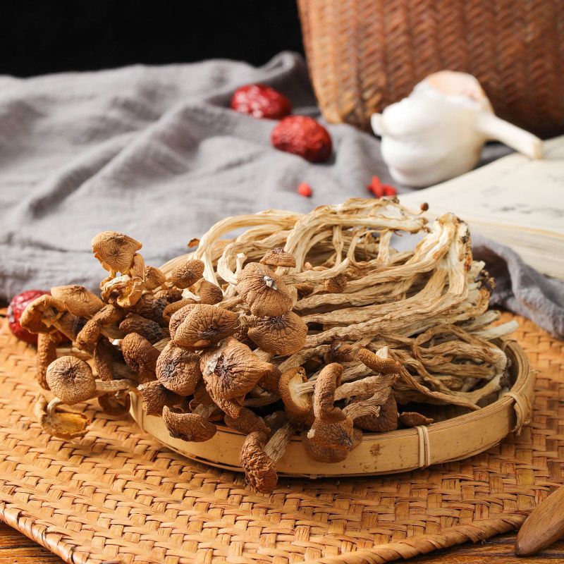 不开伞干茶树菇农家新鲜采摘古田茶树菇500g香菇菌菇煲汤食材批发