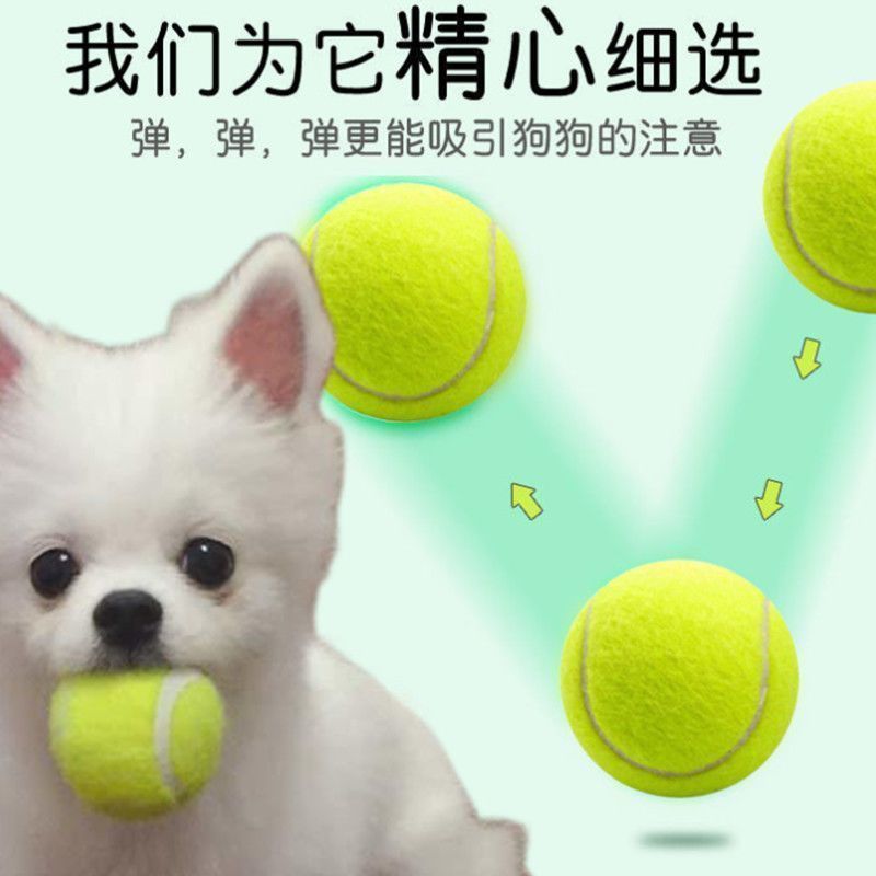 Dog Toy Ball Golden Retriever Teddy Elastic Ball Bite-Resistant Molar Tennis Pet Puppy Labrador Puppy Training