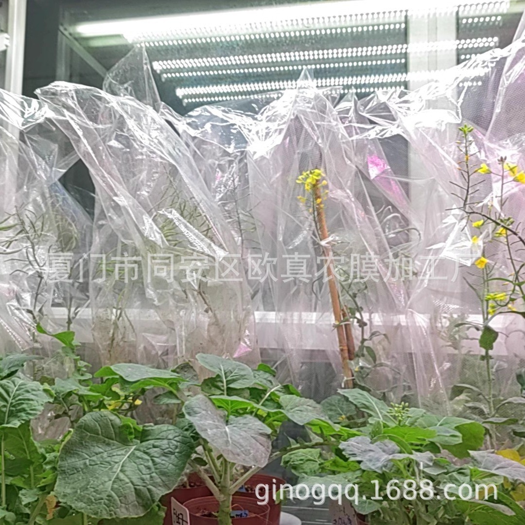 Оптовые мешки для опыления рапса, мешки для самоопыления, прозрачные микропористые воздухопроницаемые и пылезащитные