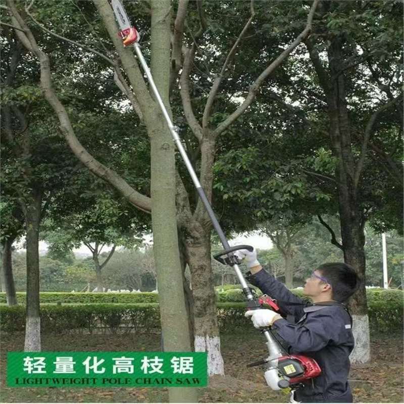 Бензиновая пила для высоких ветвей, импортная многофункциональная пила для ландшафтного дизайна, с удлиненной ручкой