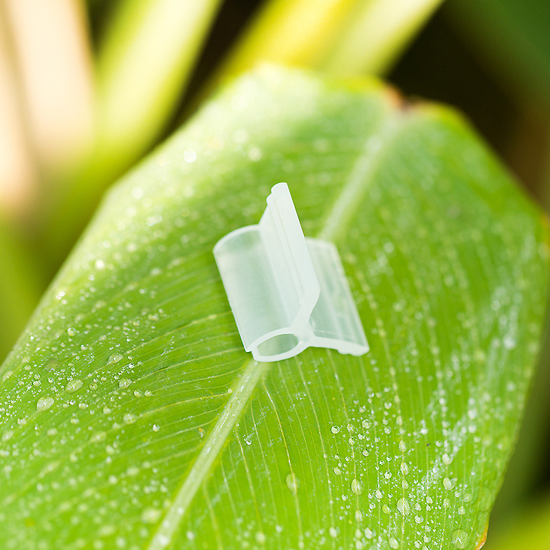 The new elastic plastic does not hurt the seedling grafting clip diameter 2-5mm vegetable plant grafting clip production and processing