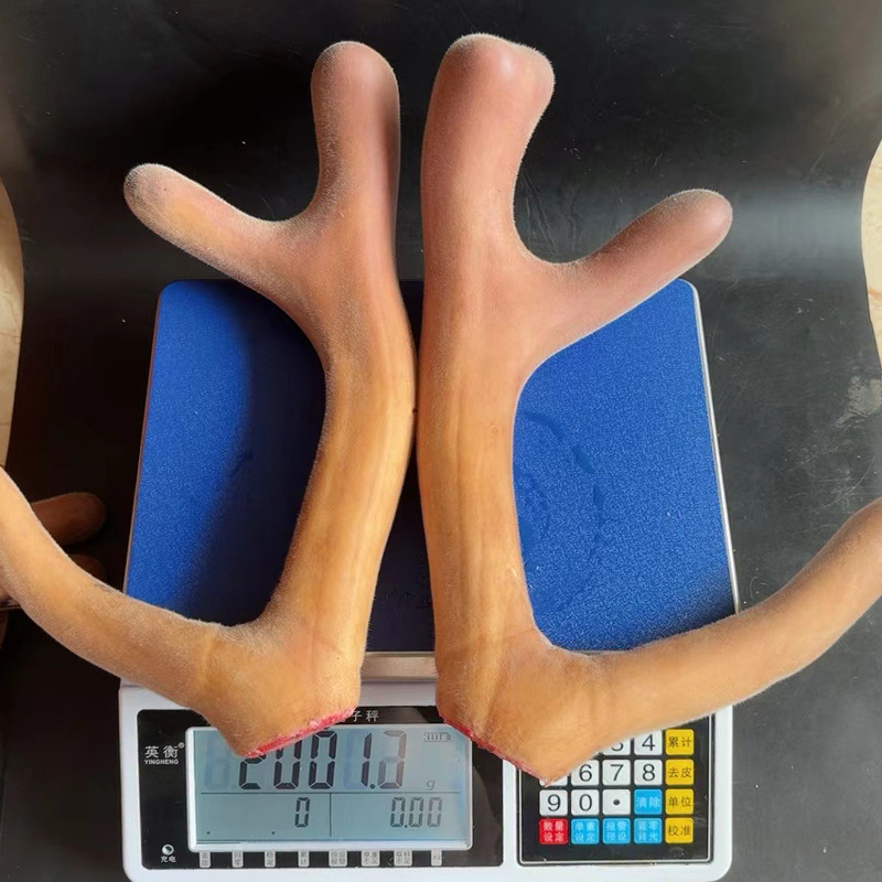 Fresh Deer Antler, Jilin Deer Antler Segment, Whole Deer Antler for Soup and Wine, Deer Antler Segment Slices, Wholesale Fresh Deer Antler from the Place of Origin