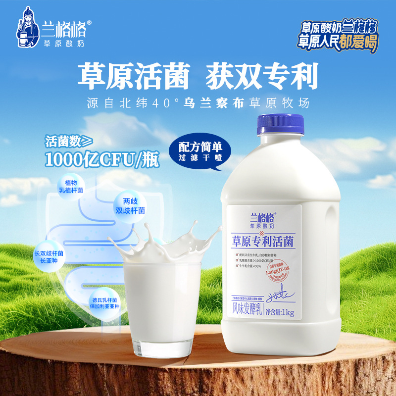 Langege Grassland Patented Live Bacteria Raw Milk Fermented Yogurt 1kg Can Be Used as Dry Yogurt Whole Box Wholesale