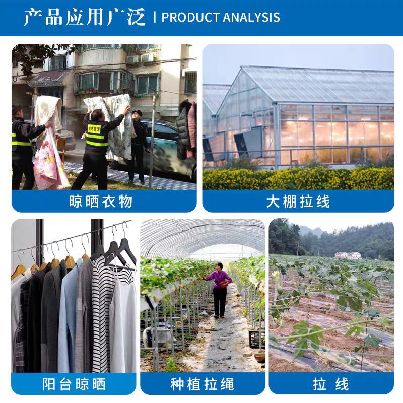 Galvanized Steel Wire Rope Construction Site Safety Rope Life Line Non-Plastic Coated Thin Wind Rope Greenhouse Grape Rack Tension Rope