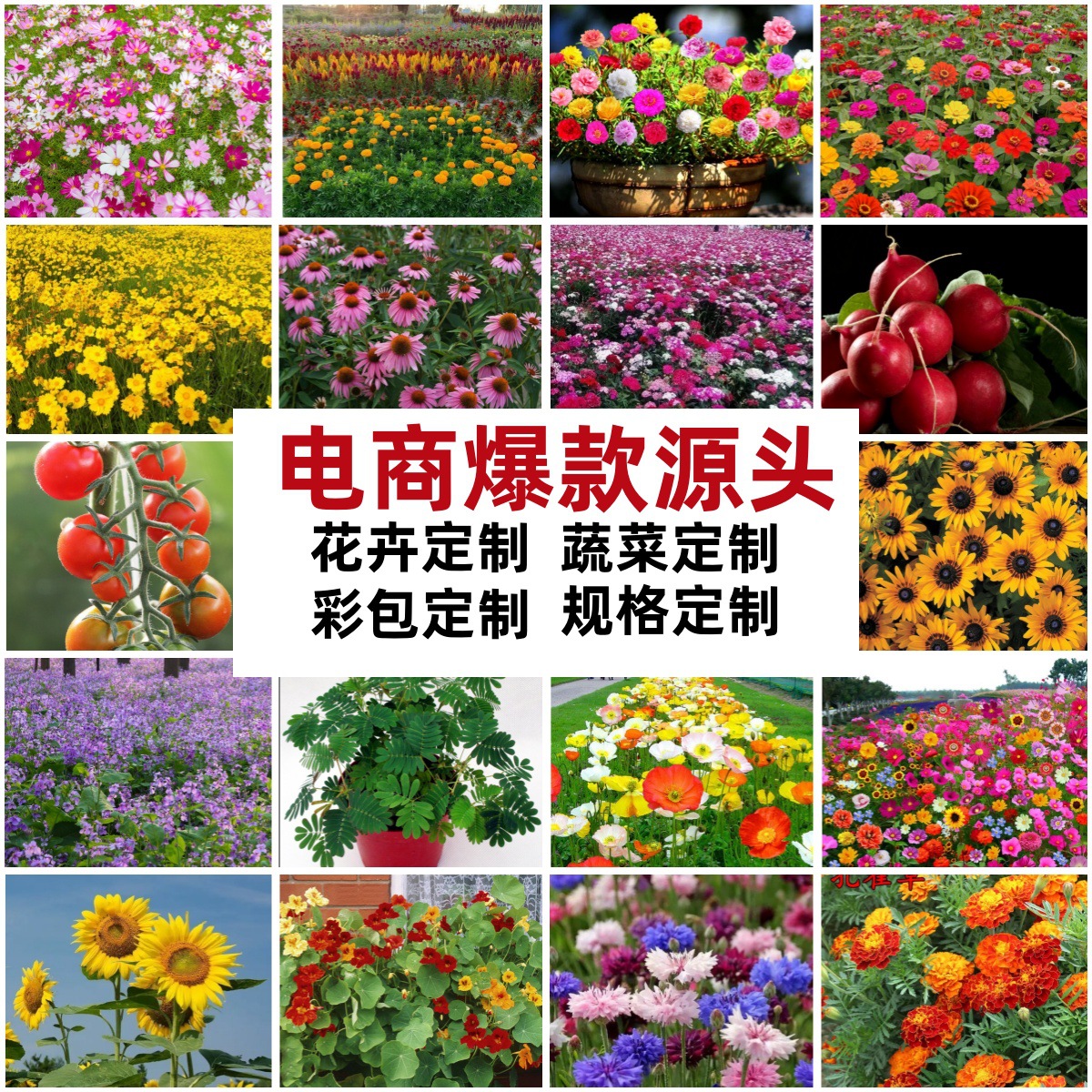 Прозрачные детские упаковочные пакеты для конфет, запечатанные маленькие подарки с семенами трав и цветов, игрушки с овощами и цветами для учеников начальной школы