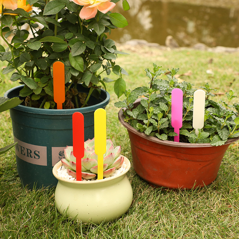 Factory supply gardening label fleshy green plant flowers plant potted stick type flower logo flower pot card wholesale