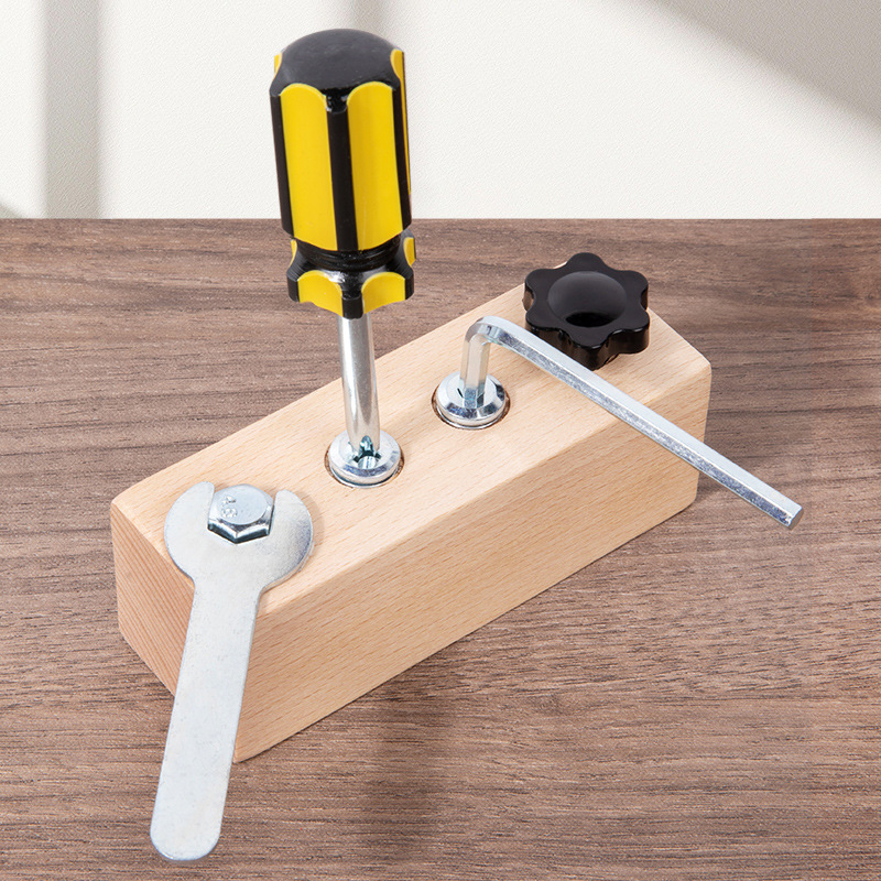Children's Screw Combination Montessori Daily Life Teaching Aids Busy Toys Children's Early Education Educational Unlocking Toys