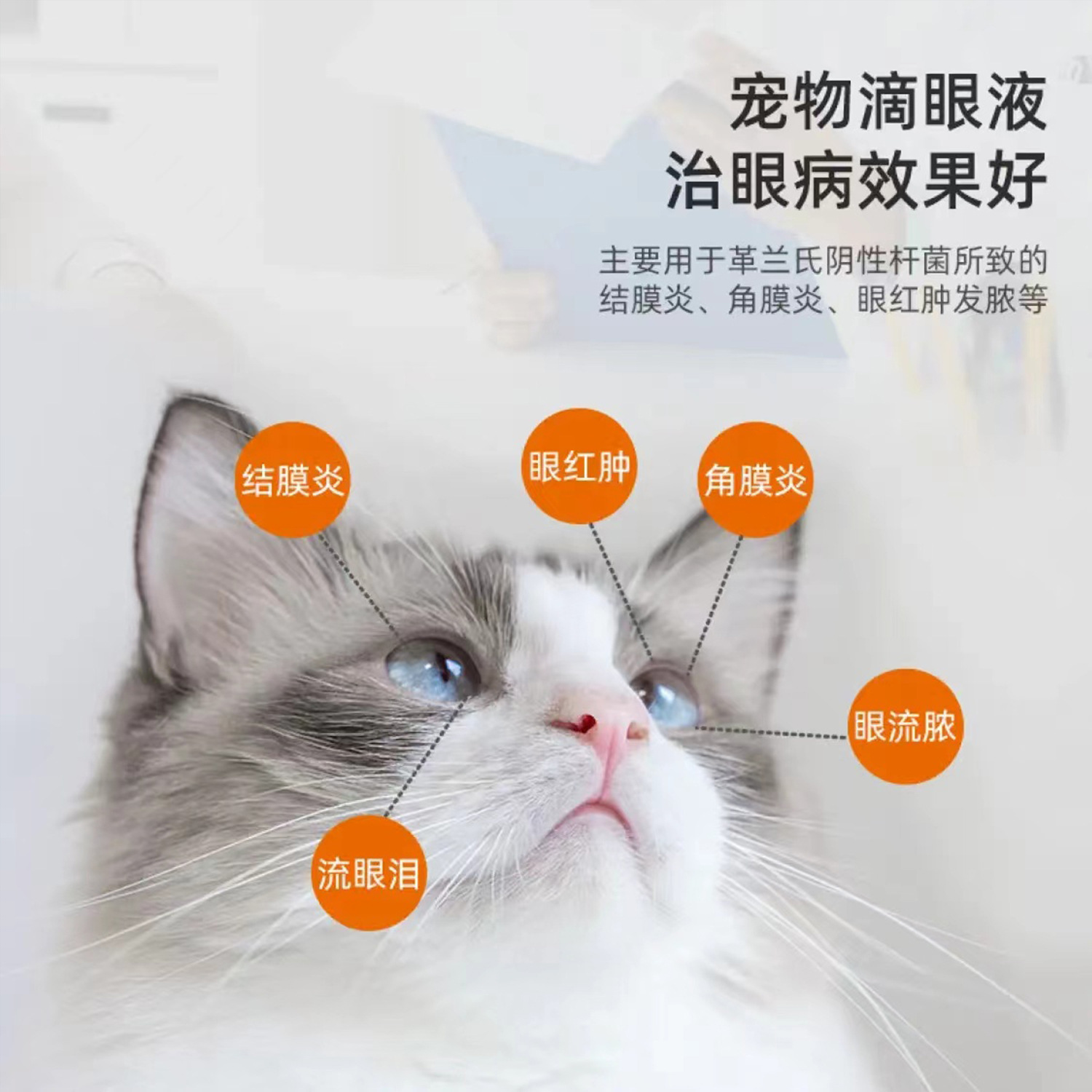 Neomycin Sulfate Eye Drops Cat Eye Drops Dog Eye Cleaning Eye Feces Pet Eye Inflammation Tears