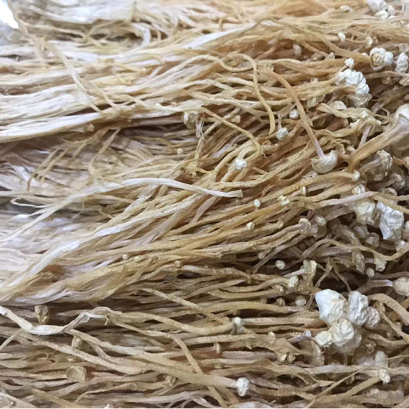 Directly Supplied from the Place of Origin Gutian Enoki Mushroom Dry Goods Wholesale Cut Root Unopened White Golden Needle Dried Enoki Mushroom Edible Fungi