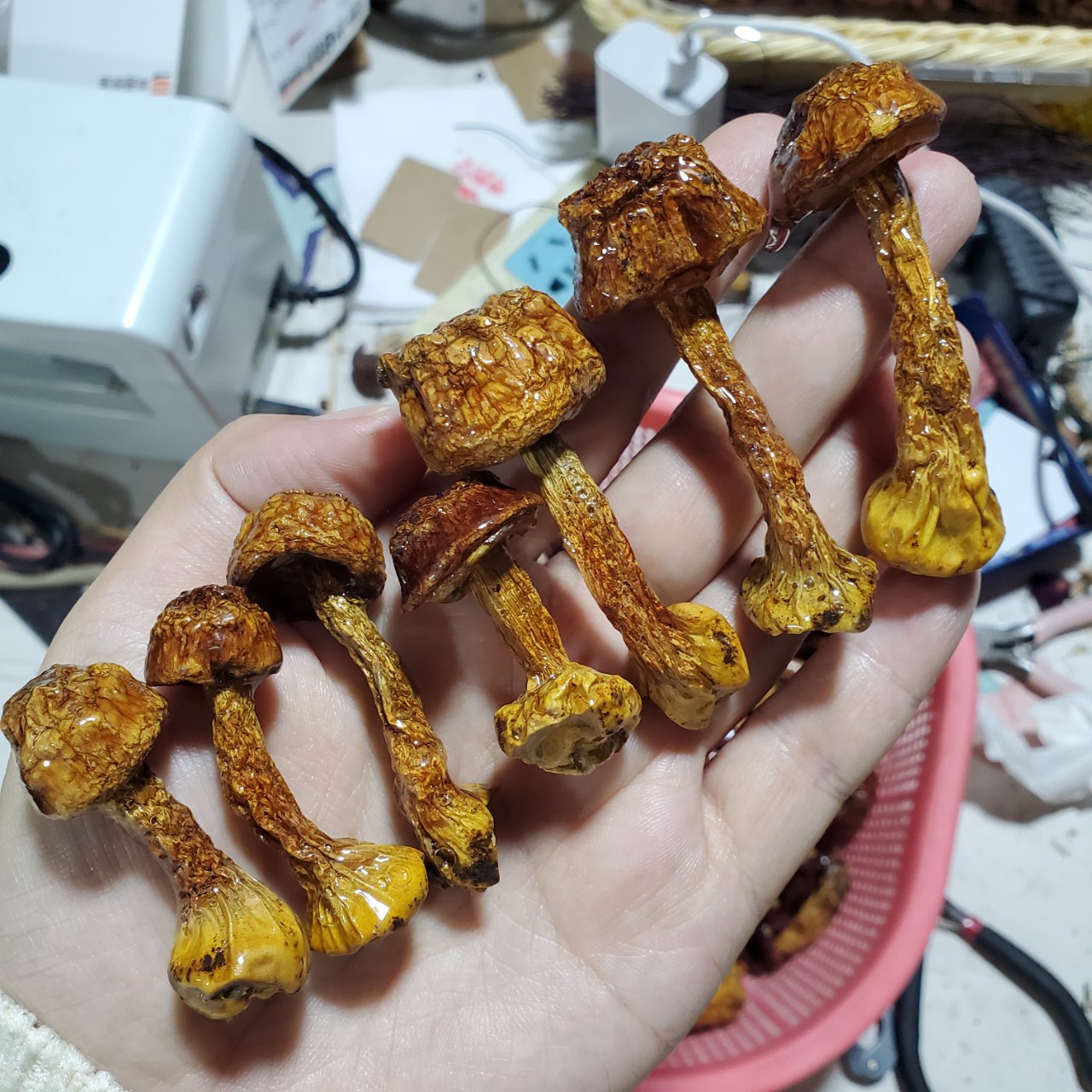 Glue Red Mushroom Earrings Small Mushroom Hair Accessories Real Flowers Dried Flowers Semi-Finished Handmade Resin DIY Decoration Materials