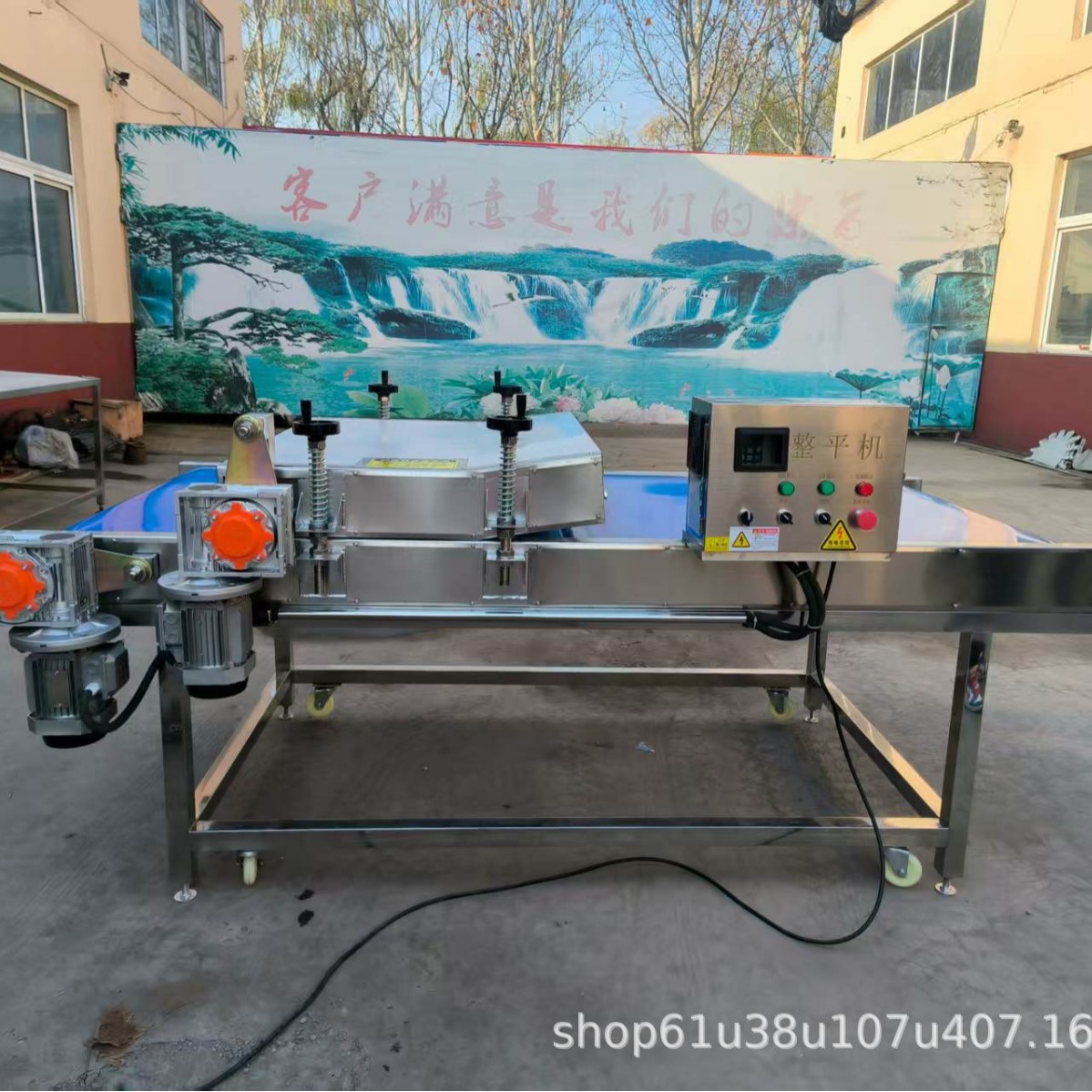 Vacuum Packaging Bag Snack Food Flattening Machine Fully Automatic Large Sauce Hot Pot Material Shaping Machine Cushion Leveling Machine